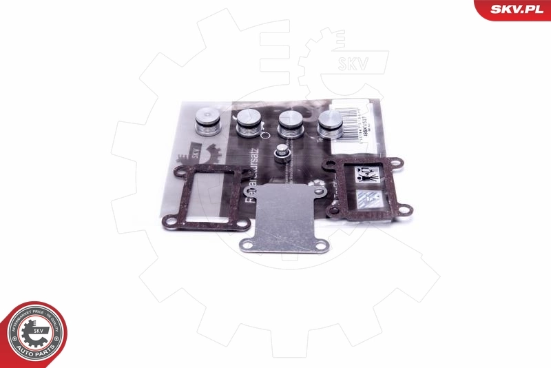 Repair Kit, intake manifold module